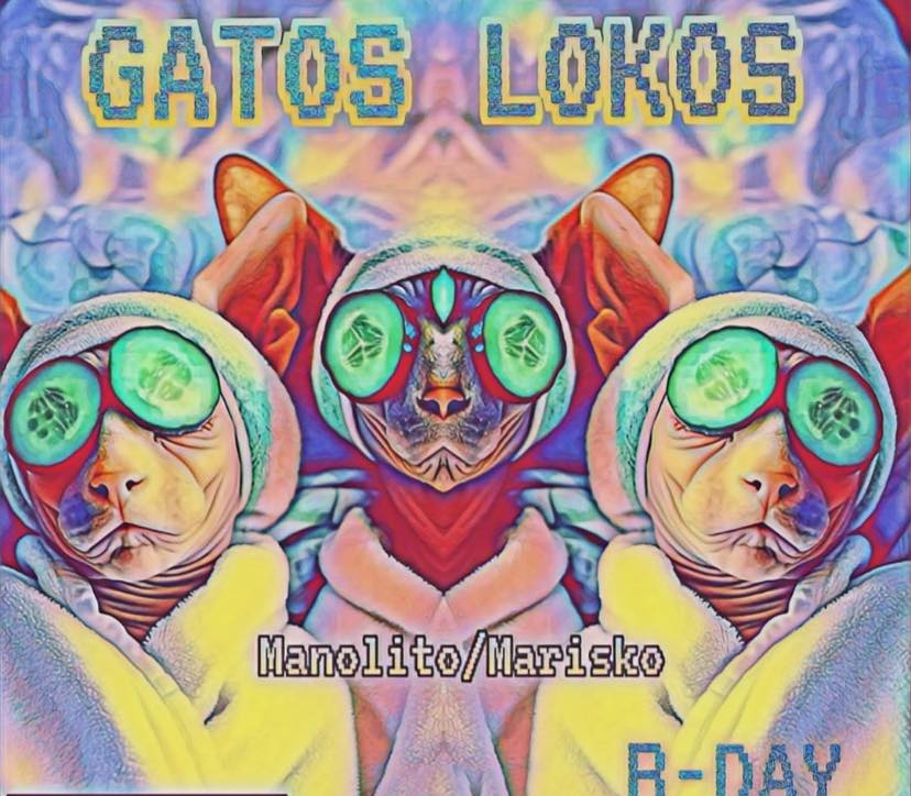 Gatos Lokos
